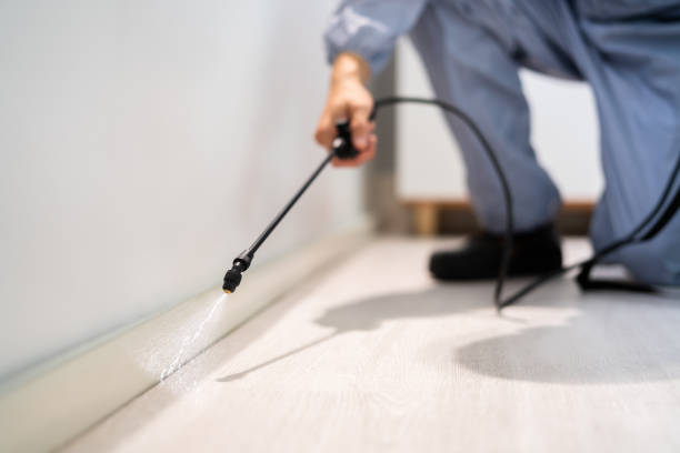 Licensed Termite Control service in Stone County County, MS - Nex Pest Control